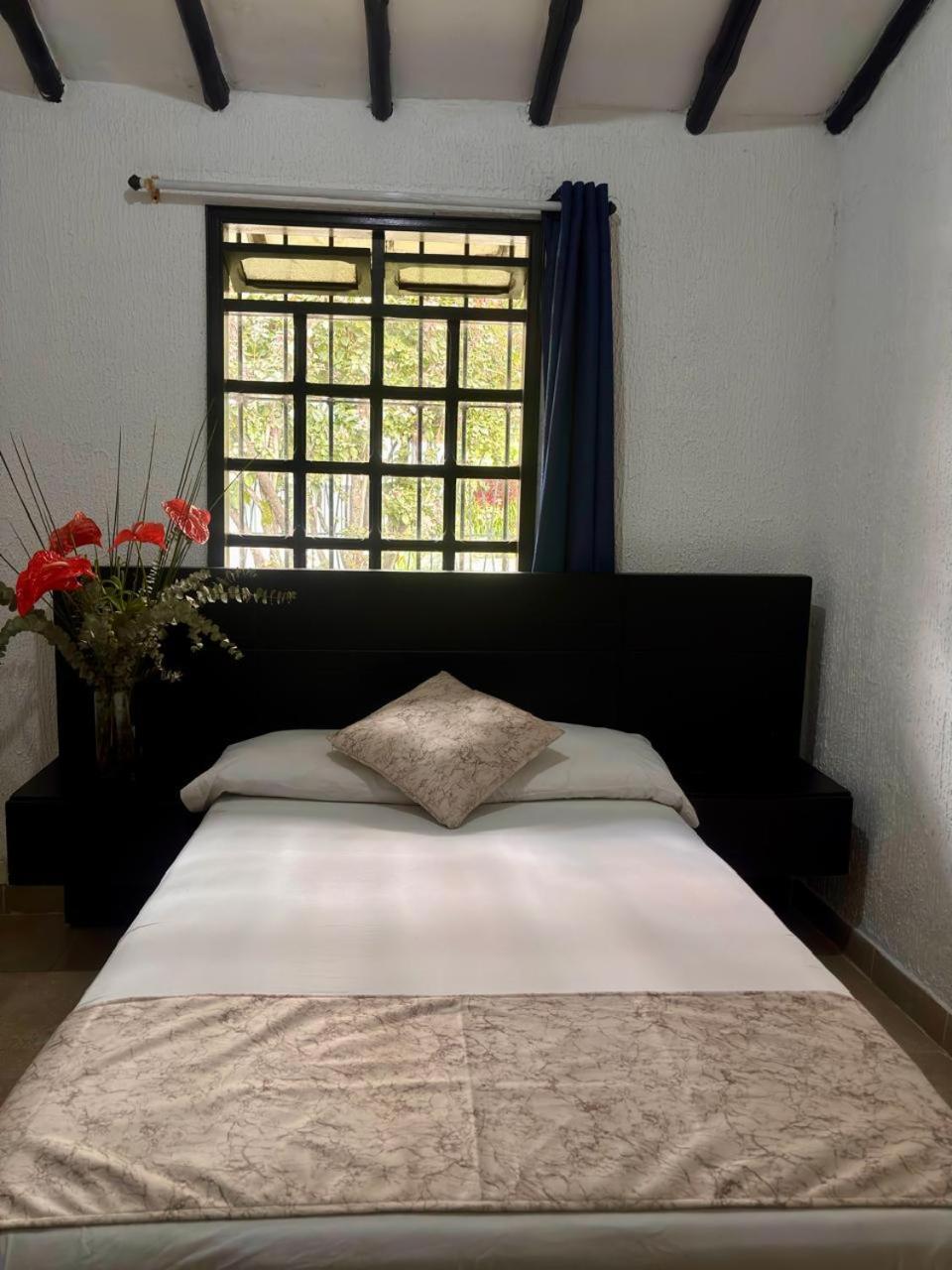 Hotel Premium Real ميديلين المظهر الخارجي الصورة