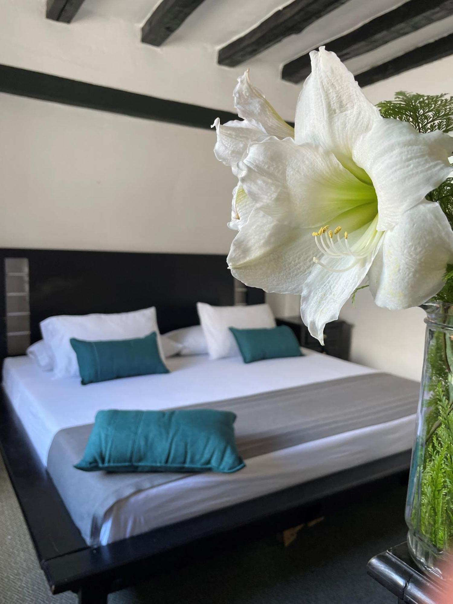 Hotel Premium Real ميديلين المظهر الخارجي الصورة